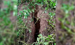 Núi ở Nghệ An xuất hiện vết nứt dài 100 mét